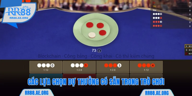 Các lựa chọn dự thưởng có sẵn trong trò chơi xóc đĩa RR88